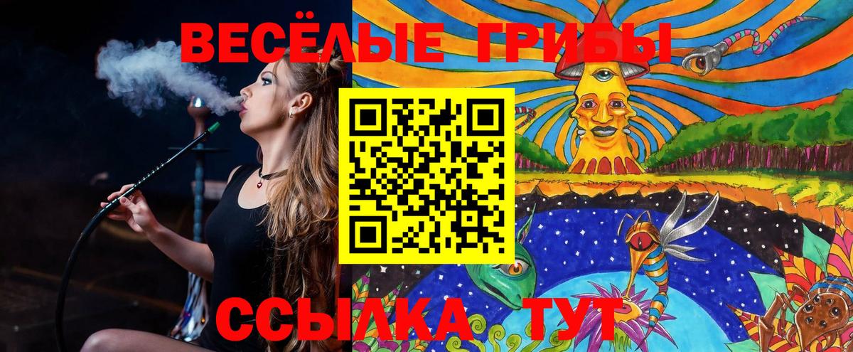 Галлюциногенные грибы ЛСД Буйнакск